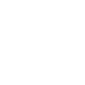 AlinaFit Coaching